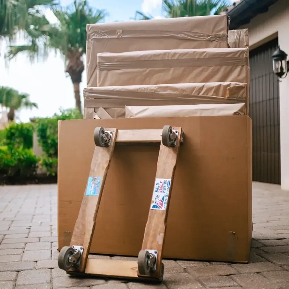 What to Look for in Professional Movers