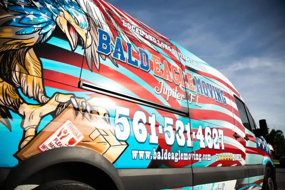 What’s the Process for Working with Professional Movers